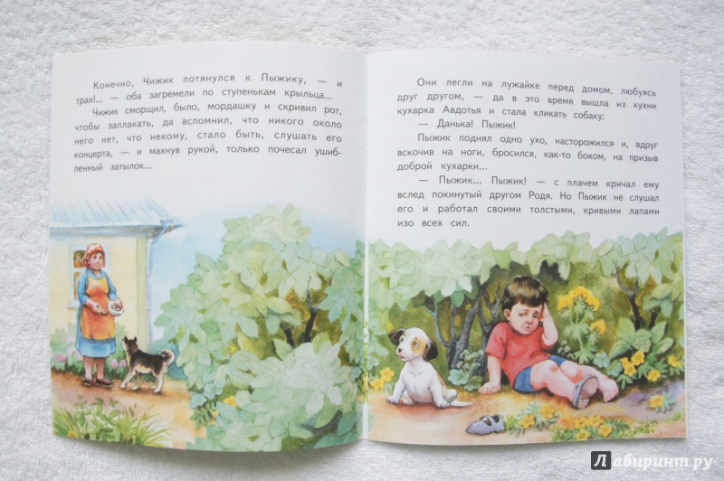Иллюстрация 12 из 17 для Чижик и Пыжик - Александр Федоров-Давыдов | Лабиринт - книги. Источник: kn