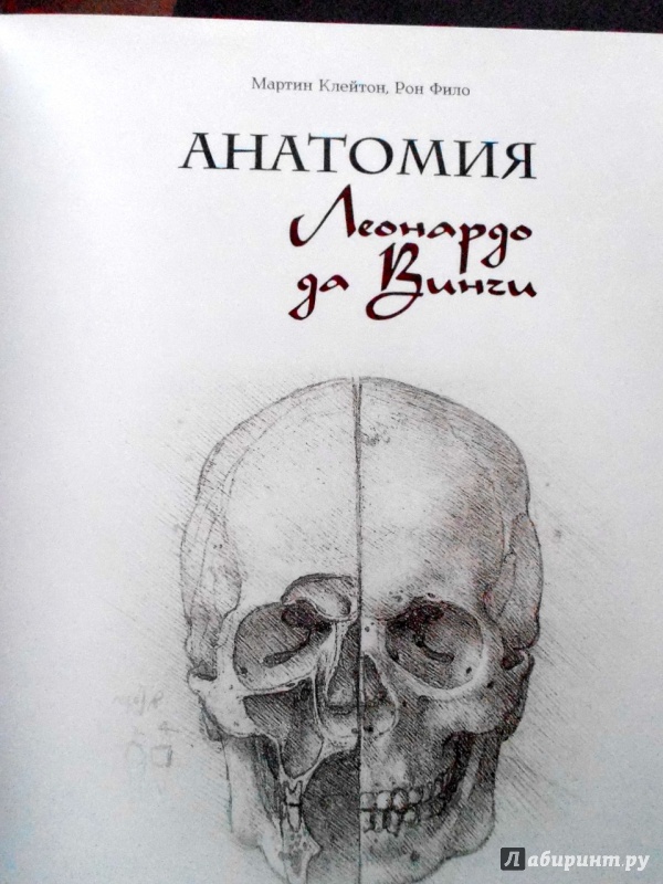 Иллюстрация 35 из 42 для Анатомия Леонардо - Мартин Клейтон | Лабиринт - книги. Источник: Panterra