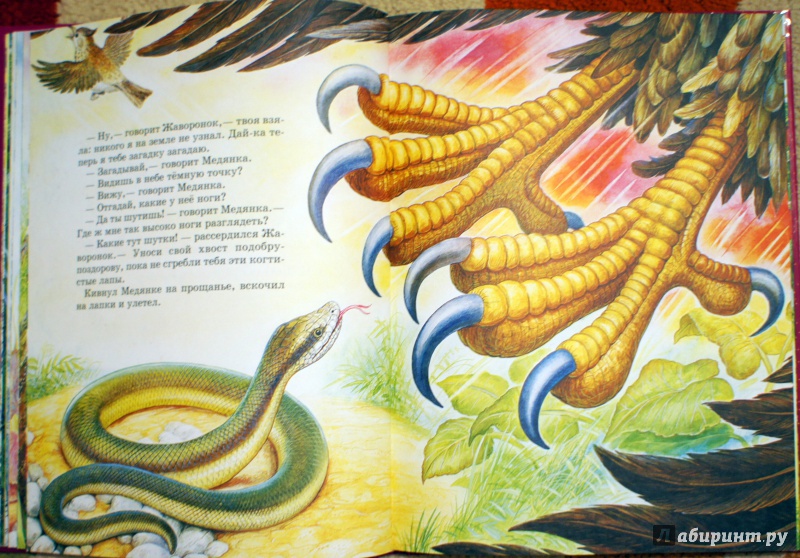 Иллюстрация 11 из 26 для Сказки - Виталий Бианки | Лабиринт - книги. Источник: Швыркова  Ольга