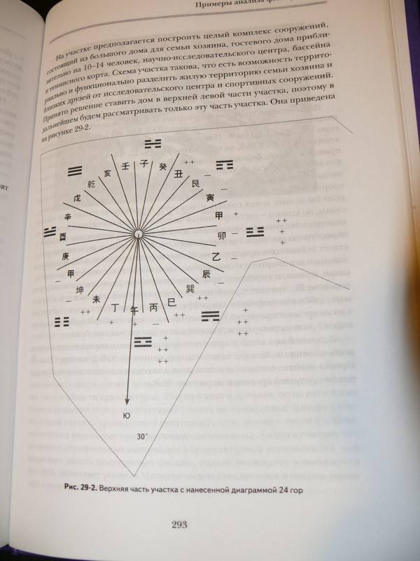 Иллюстрация 28 из 29 для Фэн-шуй летящих звезд. Энергетическая модель - Лев Игельник | Лабиринт - книги. Источник: Caelus