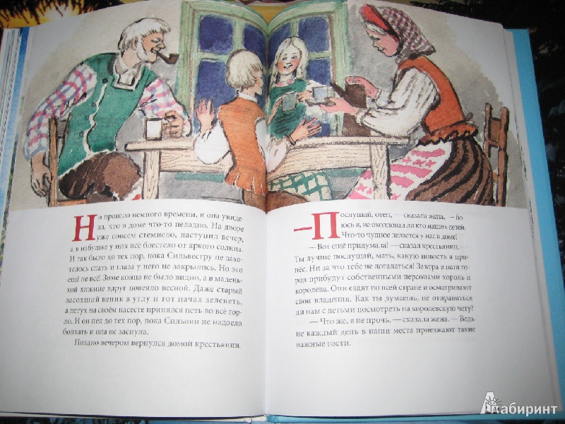 Иллюстрация 13 из 58 для Зимняя сказка - Сакариас Топелиус | Лабиринт - книги. Источник: Макарова  Елена