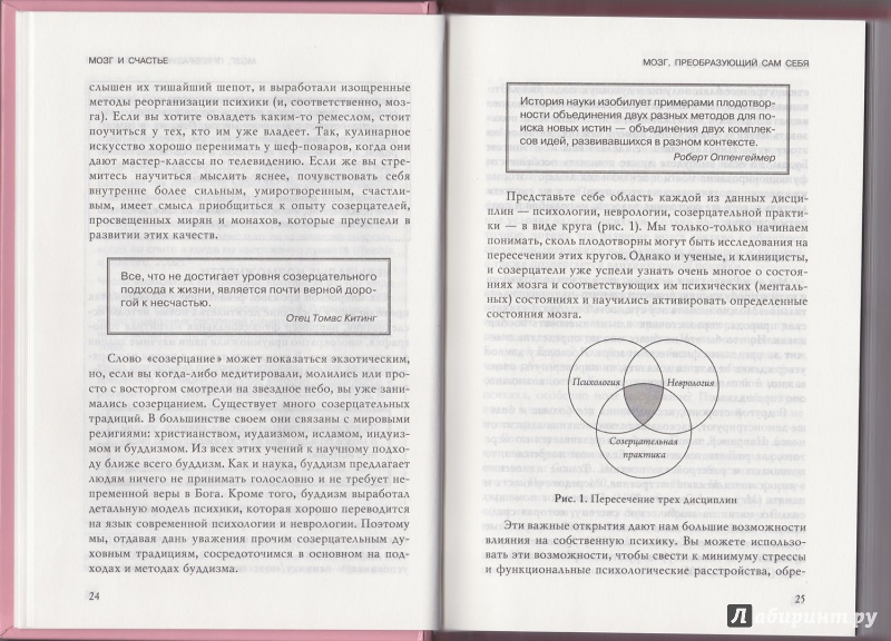 Иллюстрация 6 из 14 для Мозг и счастье. Загадки современной нейропсихологии - Мендиус, Хансон | Лабиринт - книги. Источник: maximumbook