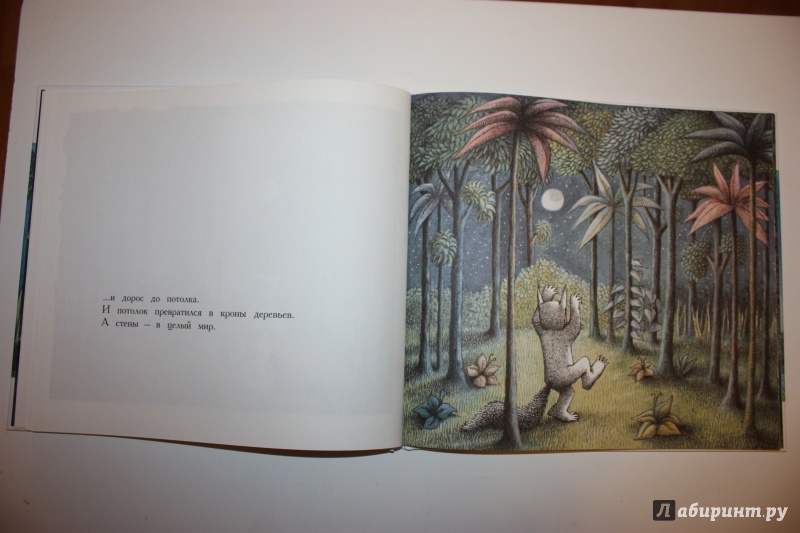 Иллюстрация 26 из 67 для Там, где живут чудовища - Морис Сендак | Лабиринт - книги. Источник: Bradbury