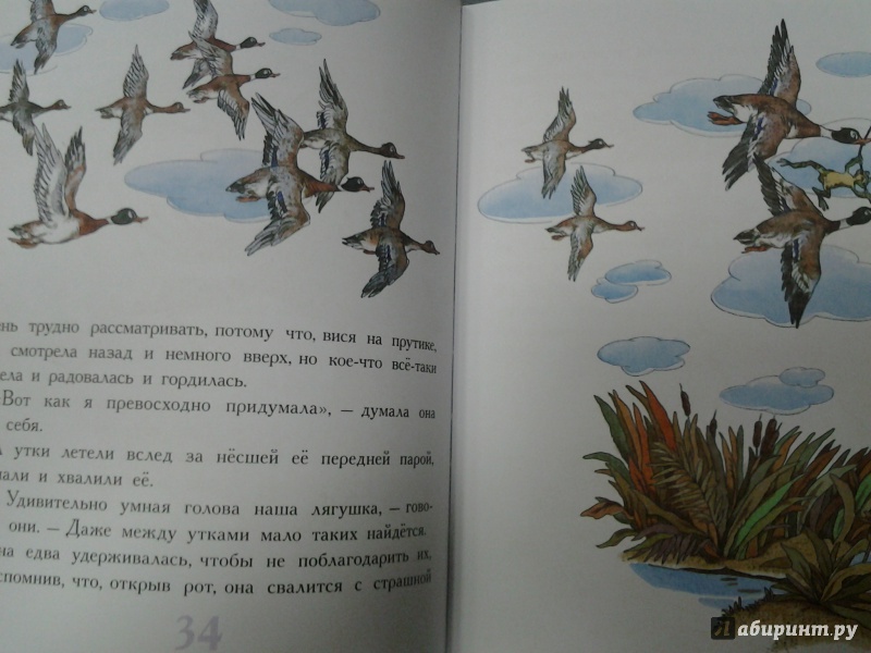 Иллюстрация 5 из 48 для Сказки про животных - Паустовский, Бианки, Заходер | Лабиринт - книги. Источник: Olga