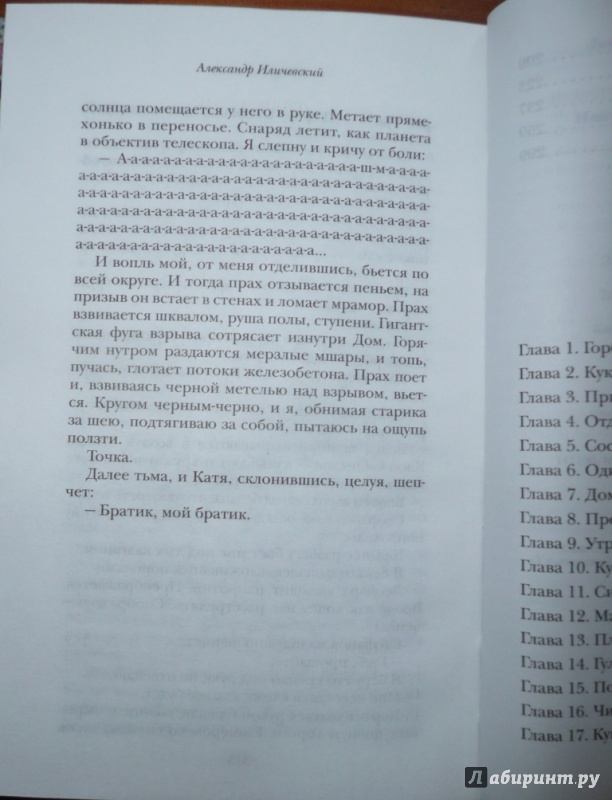 Иллюстрация 6 из 11 для Небозём на колесе - Александр Иличевский | Лабиринт - книги. Источник: Благинин  Юрий