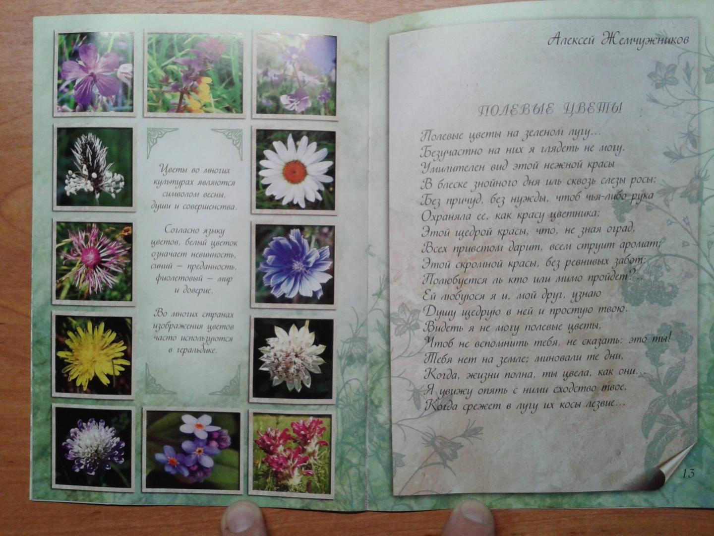 Иллюстрация 11 из 22 для Цветы к празднику | Лабиринт - книги. Источник: Старостин  Евгений