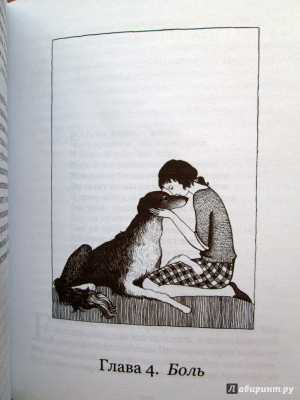 Иллюстрация 11 из 16 для Жизнь в четырех собаках. Исполняющие мечту - Ольга Бондарева | Лабиринт - книги. Источник: Зеленая шляпа