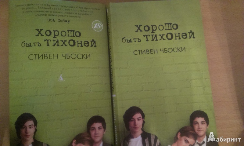 Иллюстрация 10 из 63 для Хорошо быть тихоней - Стивен Чбоски | Лабиринт - книги. Источник: Маручек  Ю.