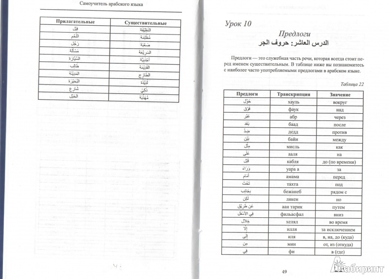 Изучаем арабский язык с нуля самостоятельно. Грамматика арабского языка. Грамматика арабского языка для начинающих. Предлоги в арабском языке. Грамматика арабского языка в таблицах.