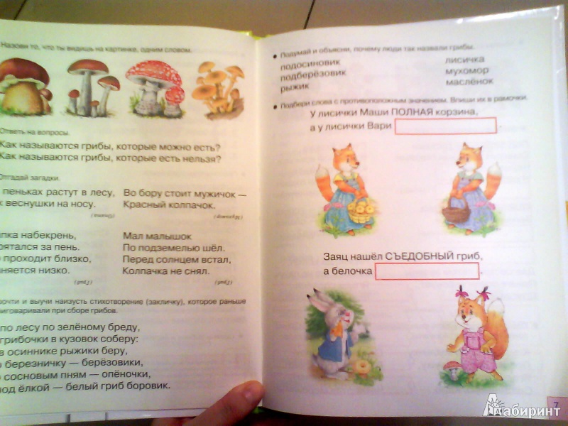 Иллюстрация 4 из 8 для Поступаем в первый класс. Развитие речи - Эльвира Павленко | Лабиринт - книги. Источник: Мила
