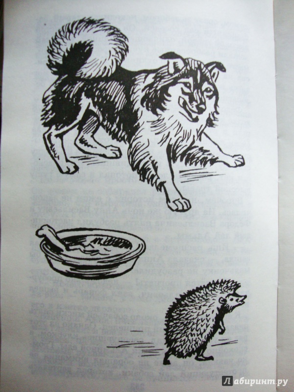 Иллюстрация 11 из 32 для Забавные животные - Вера Чаплина | Лабиринт - книги. Источник: Ш.  Алла
