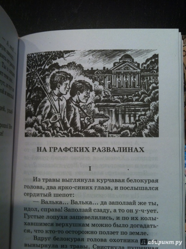 Иллюстрация 6 из 6 для Тимур и его команда - Аркадий Гайдар | Лабиринт - книги. Источник: katriya