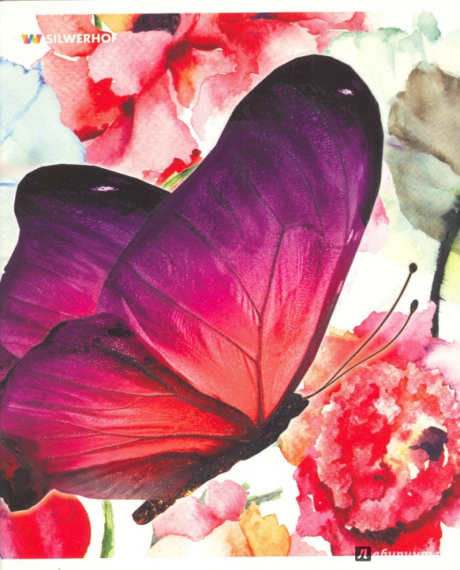 Иллюстрация 4 из 5 для Тетрадь общая "Butterflies" (48 листов, клетка, в ассортименте) (811425-55) | Лабиринт - канцтовы. Источник: Елена Весна