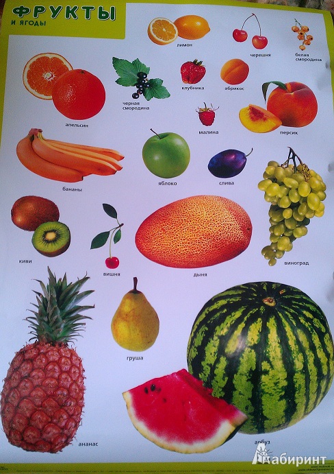 Иллюстрация 2 из 2 для Плакат "Фрукты и ягоды" | Лабиринт - книги. Источник: Евгения  Евгения