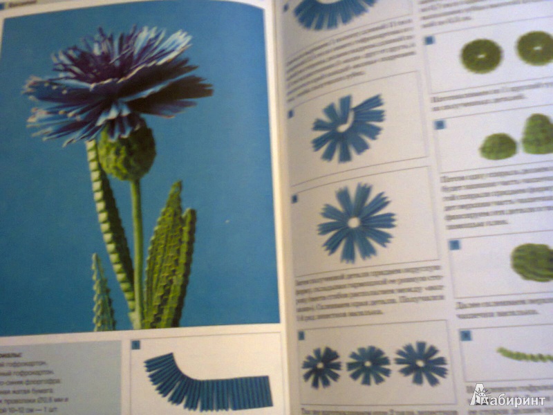 Иллюстрация 15 из 26 для Цветы в технике квиллинг - Клавдия Моргунова | Лабиринт - книги. Источник: G