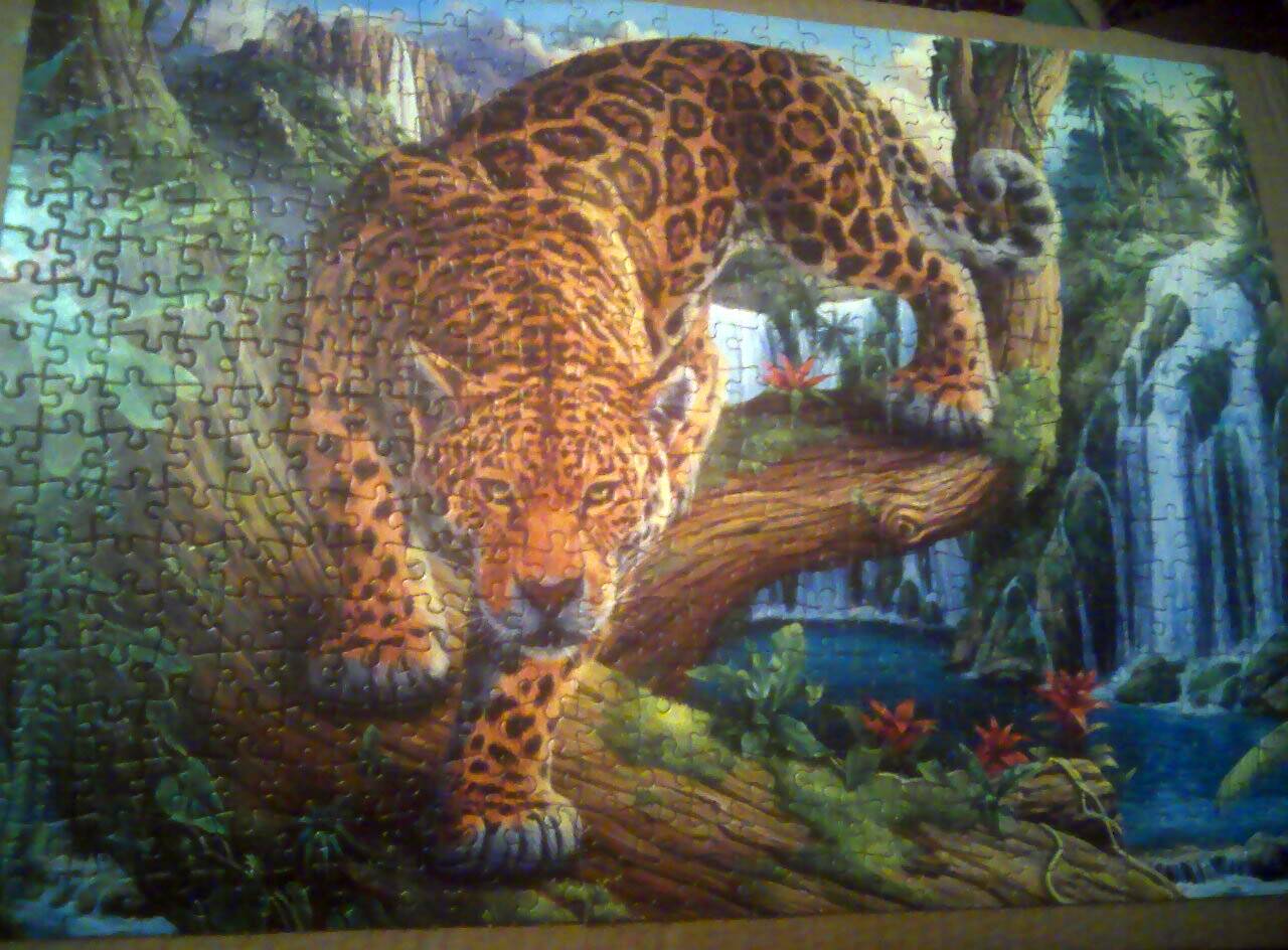 Иллюстрация 7 из 9 для TOPpuzzle-500 "Леопард у водопада" (ХТП500-6813) | Лабиринт - игрушки. Источник: Луна В.