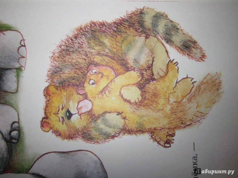 Иллюстрация 12 из 47 для Тараканище - Корней Чуковский | Лабиринт - книги. Источник: Степанова  Ольга
