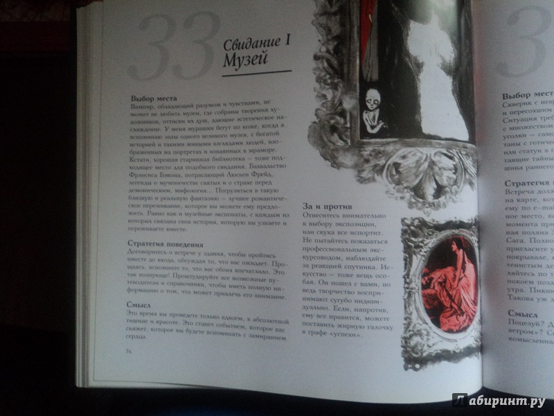 Иллюстрация 12 из 56 для 66 способов влюбить в себя вампира - Ирен Клавер | Лабиринт - книги. Источник: Miss congeniality