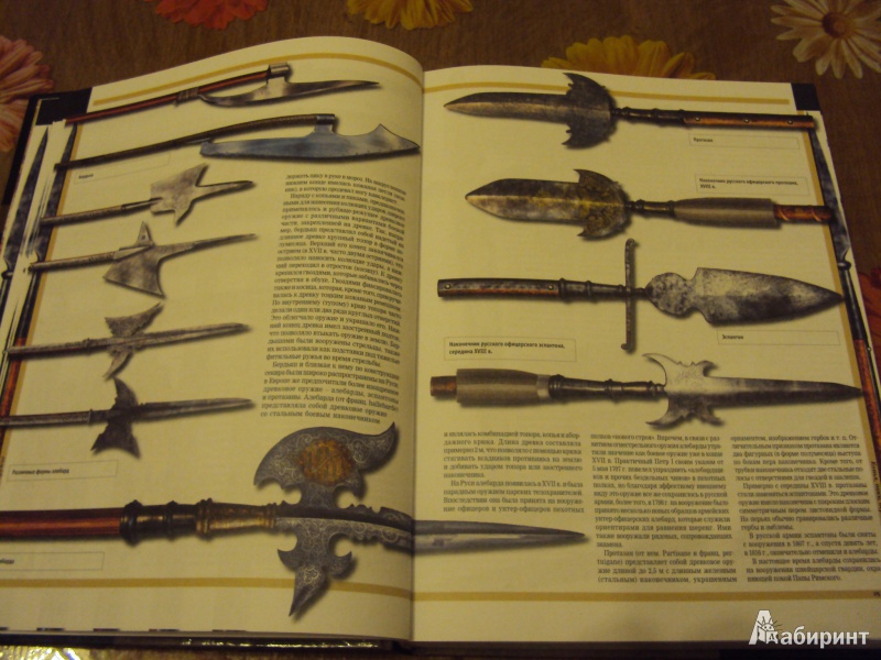 Иллюстрация 8 из 21 для Оружие и военная техника, изменившие ход истории - Виктор Шунков | Лабиринт - книги. Источник: л.и.