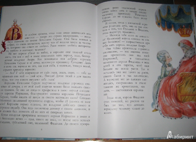 Иллюстрация 25 из 43 для Сказки о принцессах, королях и колдунах | Лабиринт - книги. Источник: Макарова  Елена