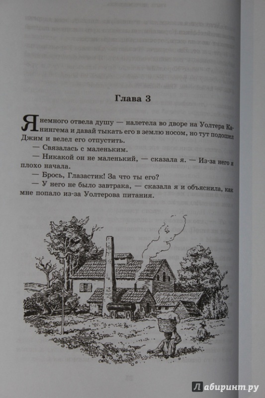 Иллюстрация 82 из 141 для Убить пересмешника... - Харпер Ли | Лабиринт - книги. Источник: Katerina