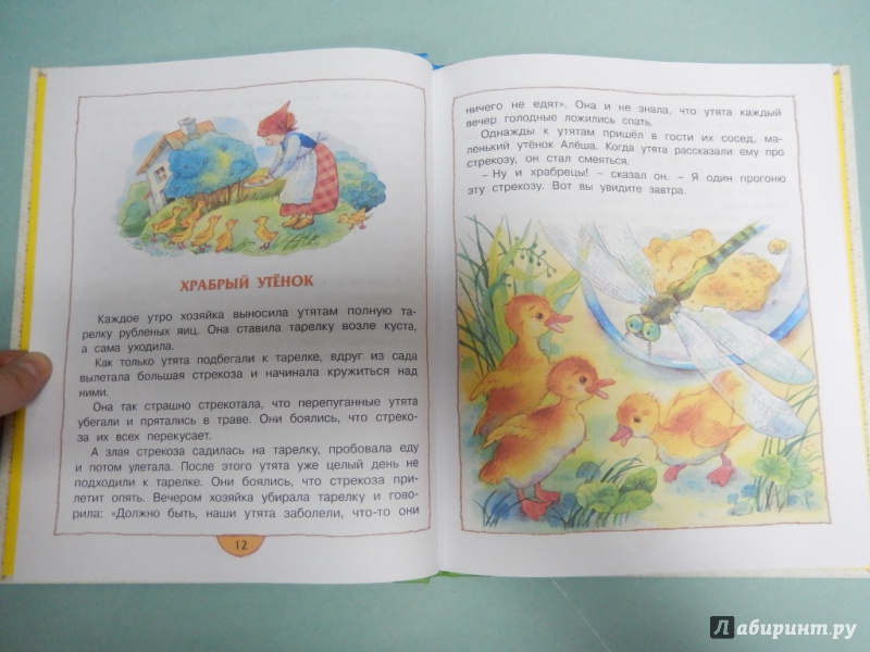 Иллюстрация 8 из 19 для Храбрый утёнок - Борис Житков | Лабиринт - книги. Источник: dbyyb