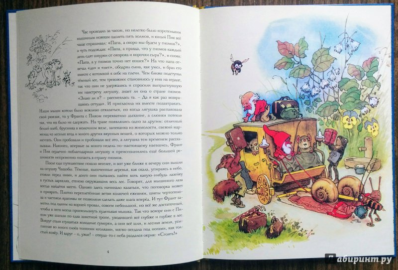 Иллюстрация 67 из 78 для В стране гномов - Эрих Хайнеманн | Лабиринт - книги. Источник: Natalie Leigh