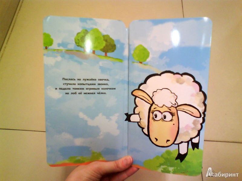 Иллюстрация 4 из 19 для Это овечка? - Петр Волцит | Лабиринт - книги. Источник: Мила