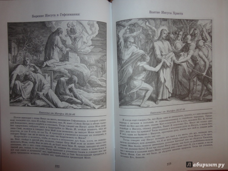 Иллюстрация 13 из 38 для Библия в иллюстрациях - Карольсфельд Юлиус Шнорр фон | Лабиринт - книги. Источник: Kristin