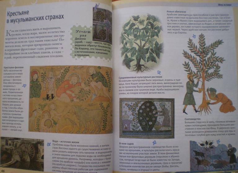 Иллюстрация 21 из 44 для Средние века - Доминик Жоли | Лабиринт - книги. Источник: Ирина