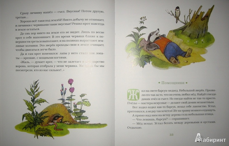 Иллюстрация 17 из 42 для Хитрый волк - Владимир Зотов | Лабиринт - книги. Источник: Трухина Ирина