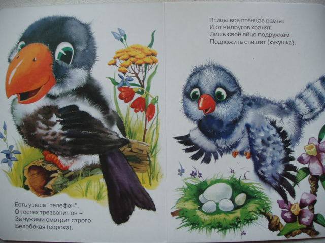 Иллюстрация 4 из 5 для Загадки про птиц | Лабиринт - книги. Источник: Витаминка