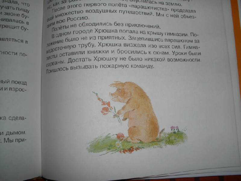 Полный рассказ кот ворюга. Кот-ворюга книга. Книга кот ворюга Паустовский. Иллюстрация к рассказу кот ворюга. Стих кот ворюга.