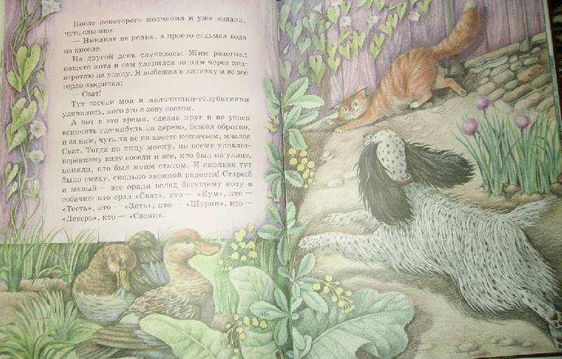 Иллюстрация 40 из 47 для Рассказы о животных - Михаил Пришвин | Лабиринт - книги. Источник: Rainbow