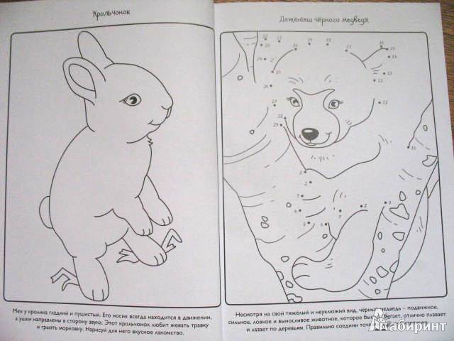 Иллюстрация 22 из 32 для Детёныши - Эмма Сэл | Лабиринт - книги. Источник: kolobus