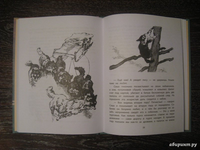 Иллюстрация 35 из 53 для Необыкновенный заплыв - Николай Рыжих | Лабиринт - книги. Источник: Эля