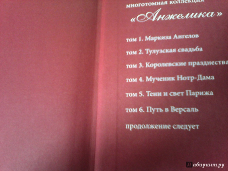 Иллюстрация 15 из 24 для Анжелика. Путь в Версаль - Анн Голон | Лабиринт - книги. Источник: Колобова Елена