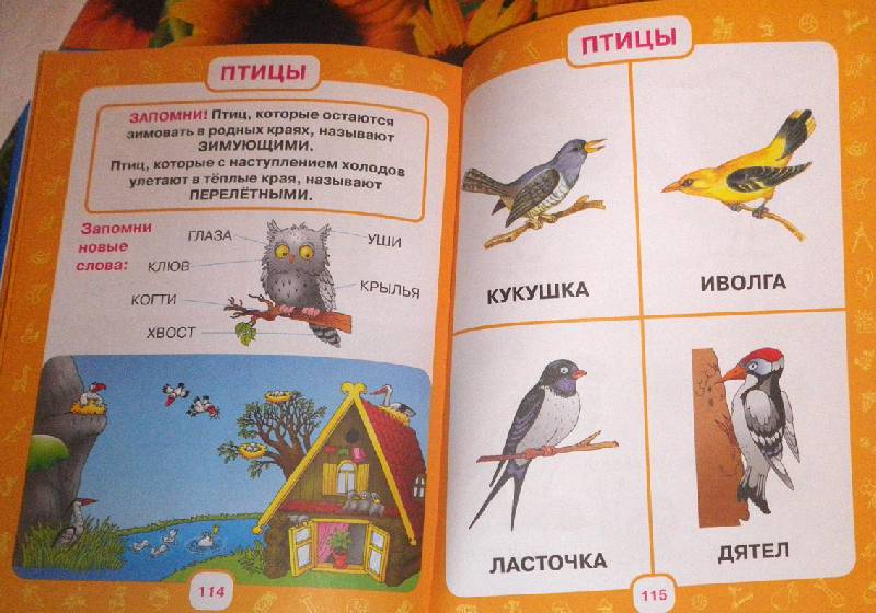 Иллюстрация 85 из 105 для Первый учебник малыша. От 6 месяцев до 3 лет - Олеся Жукова | Лабиринт - книги. Источник: АннаЛ