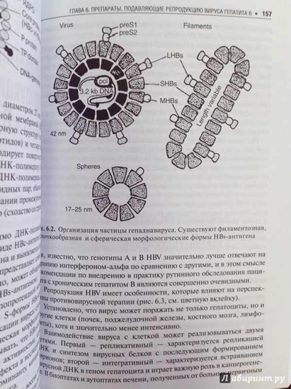 Иллюстрация 7 из 7 для Противовирусные средства - Петров, Белан | Лабиринт - книги. Источник: Kukula