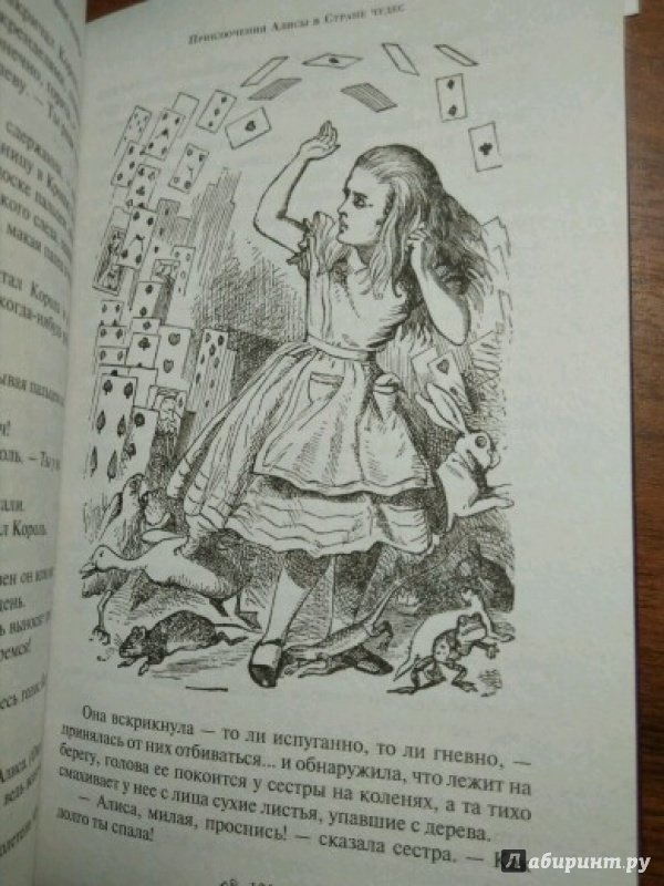 Иллюстрация 36 из 91 для Алиса в Стране чудес и в Зазеркалье - Льюис Кэрролл | Лабиринт - книги. Источник: Буквоежка