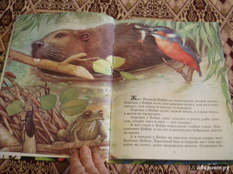 Иллюстрация 13 из 87 для Сказки о родной природе - Бианки, Сладков, Шим | Лабиринт - книги. Источник: Волкова  Алена