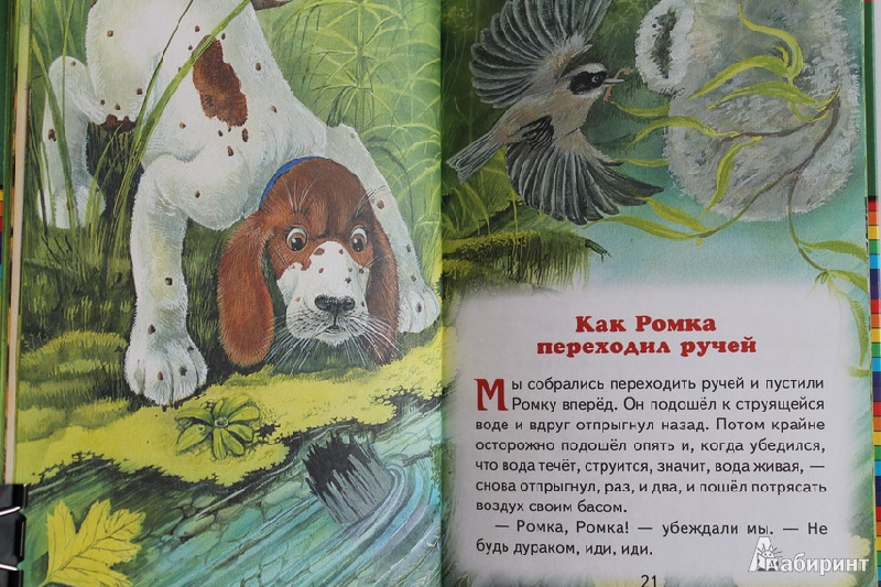 Иллюстрация 39 из 44 для Про птиц и зверей - Михаил Пришвин | Лабиринт - книги. Источник: Elena