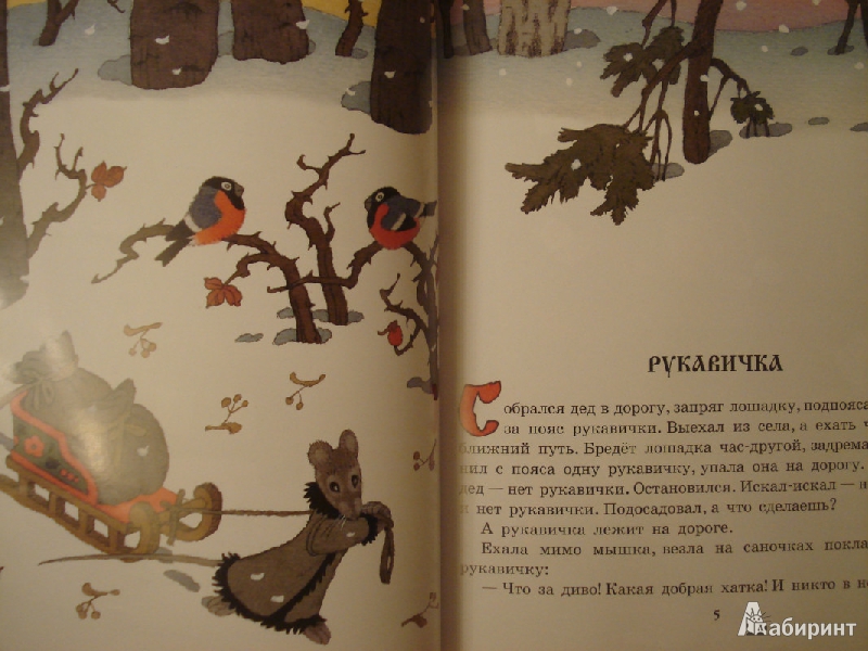 Иллюстрация 4 из 13 для Сказки о животных. Рукавичка; Курочка, мышка и тетерев | Лабиринт - книги. Источник: Lubochka