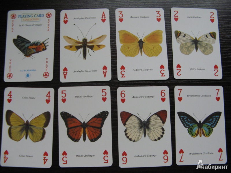 Иллюстрация 2 из 13 для Игральные карты "Бабочки" | Лабиринт - книги. Источник: Ольга