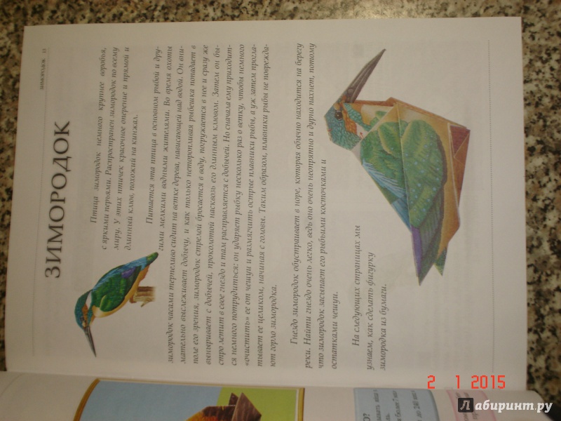 Иллюстрация 2 из 30 для Оригами: волшебство из бумаги. Книга 5 | Лабиринт - книги. Источник: Дева НТ