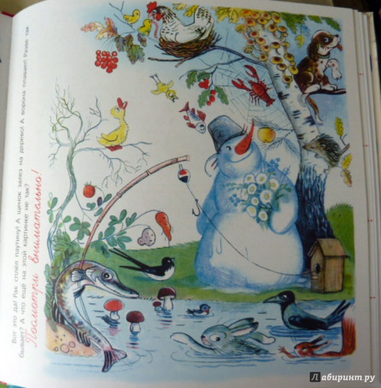 Иллюстрация 18 из 23 для Подарок - Владимир Сутеев | Лабиринт - книги. Источник: WhiteRacoon