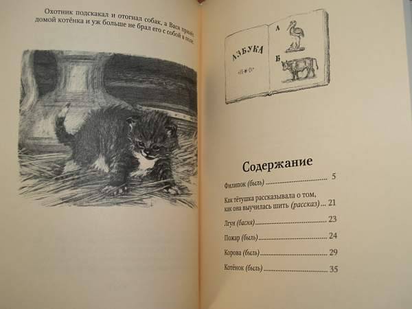 Иллюстрация 23 из 23 для Филипок - Лев Толстой | Лабиринт - книги. Источник: Cовушка