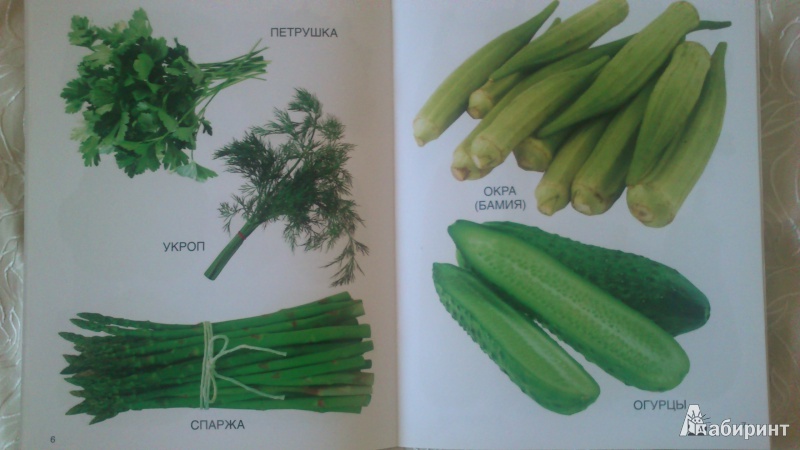 Иллюстрация 4 из 9 для Мои блестящие книжки. Овощи | Лабиринт - книги. Источник: Гришина  Юлия