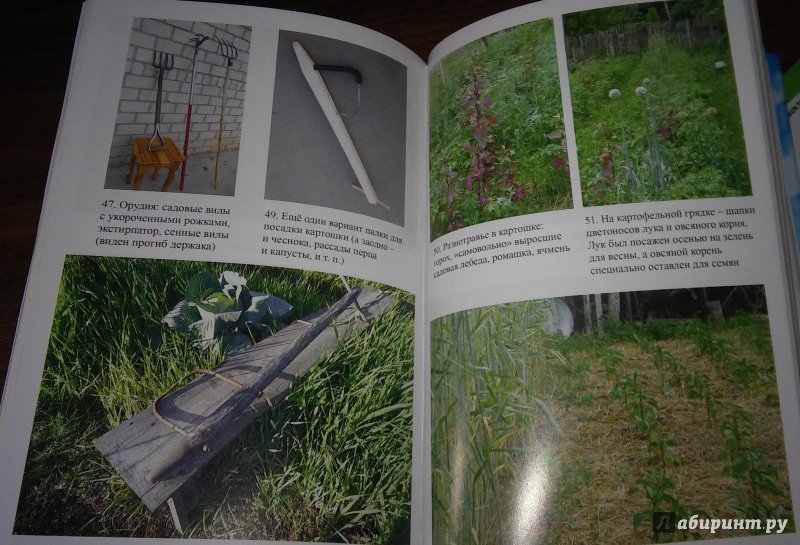 Иллюстрация 19 из 23 для Городим огород в ладу с природой - Борис Бублик | Лабиринт - книги. Источник: WhiteOwl