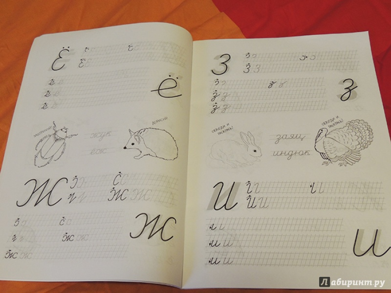 Иллюстрация 6 из 9 для Классические прописи для хорошего почерка - Марина Георгиева | Лабиринт - книги. Источник: Рузанова  Александра